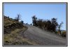 20/IMG_4403 site.jpg